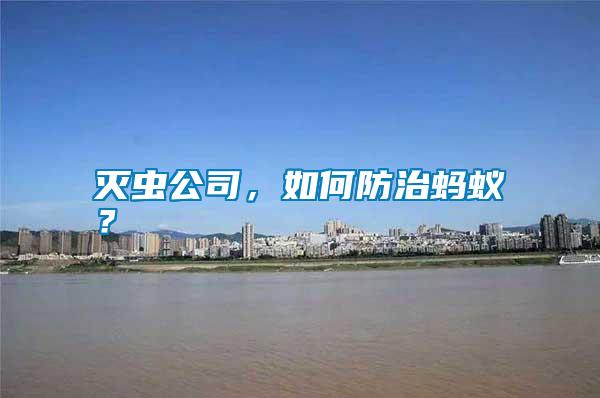 滅蟲(chóng)公司，如何防治螞蟻？