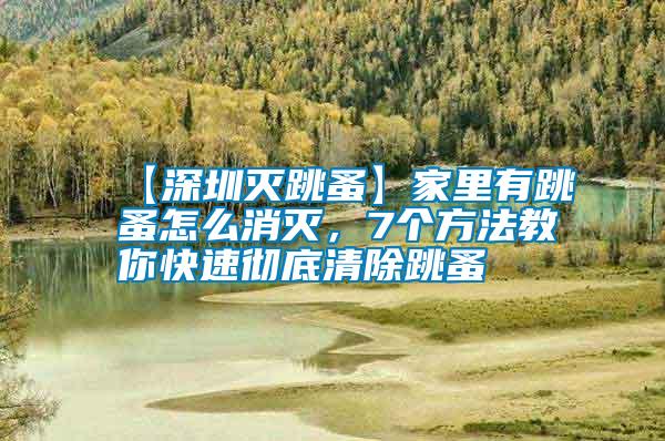 【深圳滅跳蚤】家里有跳蚤怎么消滅，7個方法教你快速徹底清除跳蚤