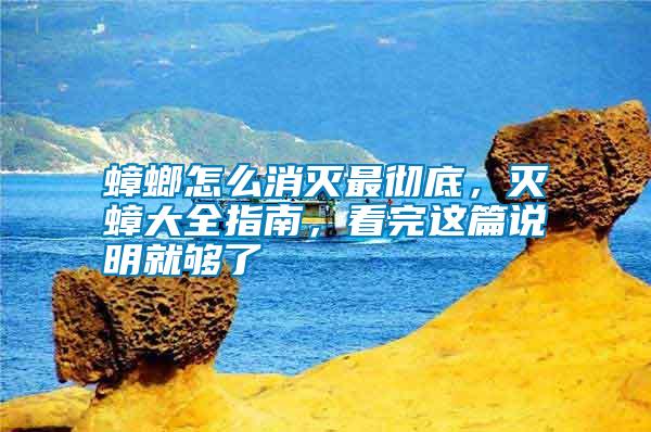 蟑螂怎么消滅最徹底，滅蟑大全指南，看完這篇說明就夠了