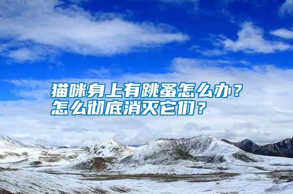 貓咪身上有跳蚤怎么辦？怎么徹底消滅它們？