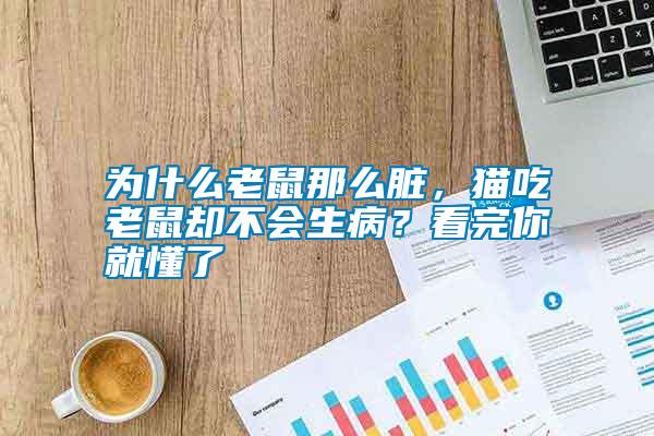 為什么老鼠那么臟，貓吃老鼠卻不會生病？看完你就懂了