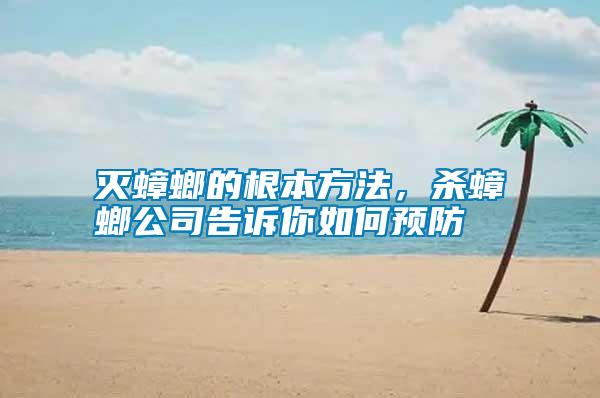 滅蟑螂的根本方法，殺蟑螂公司告訴你如何預防