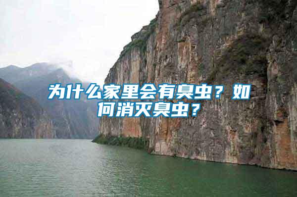 為什么家里會有臭蟲？如何消滅臭蟲？