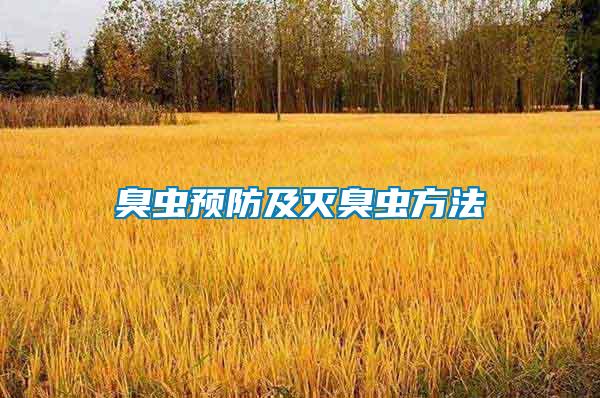 臭蟲預(yù)防及滅臭蟲方法