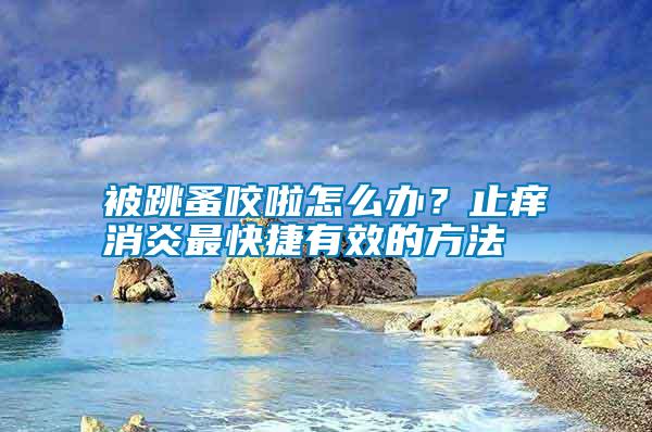 被跳蚤咬啦怎么辦？止癢消炎最快捷有效的方法