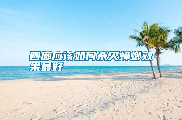 畫(huà)廊應(yīng)該如何殺滅蟑螂效果最好
