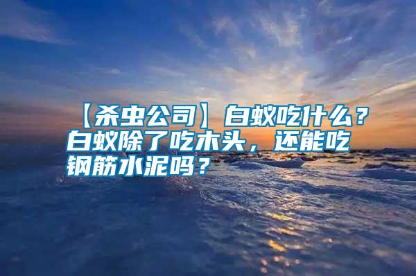 【殺蟲公司】白蟻吃什么？白蟻除了吃木頭，還能吃鋼筋水泥嗎？