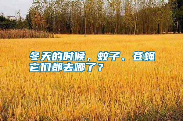 冬天的時(shí)候，蚊子、蒼蠅它們都去哪了？
