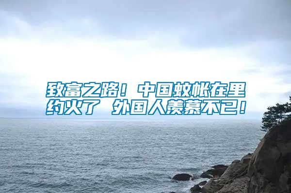 致富之路！中國蚊帳在里約火了 外國人羨慕不已！