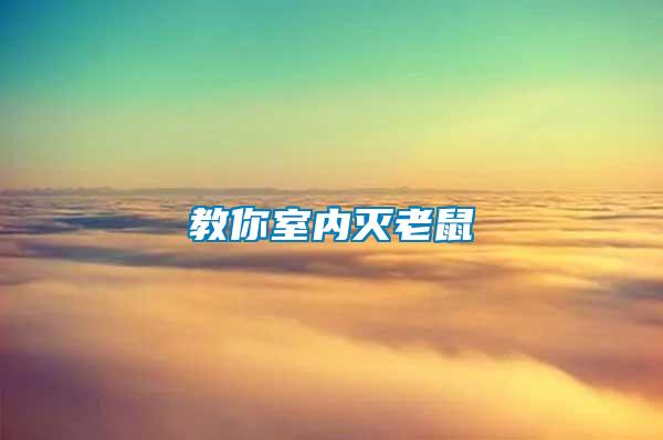 教你室內滅老鼠