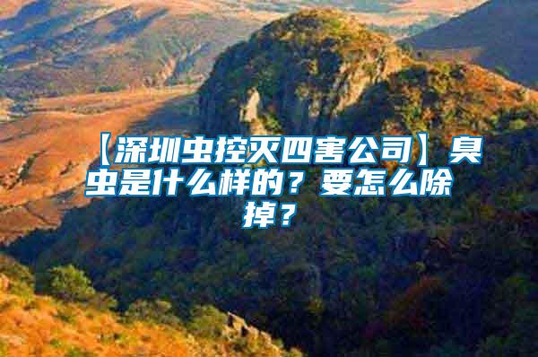 【深圳蟲控滅四害公司】臭蟲是什么樣的？要怎么除掉？