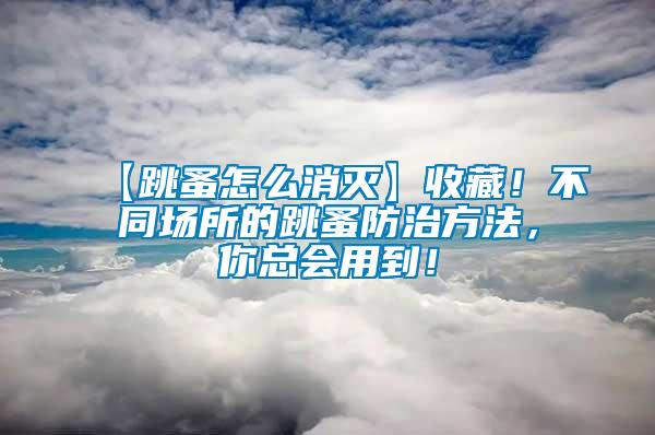 【跳蚤怎么消滅】收藏！不同場所的跳蚤防治方法，你總會用到！