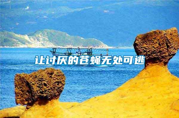 讓討厭的蒼蠅無(wú)處可逃