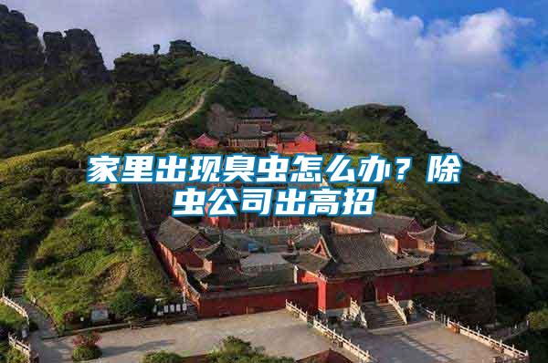 家里出現臭蟲怎么辦？除蟲公司出高招