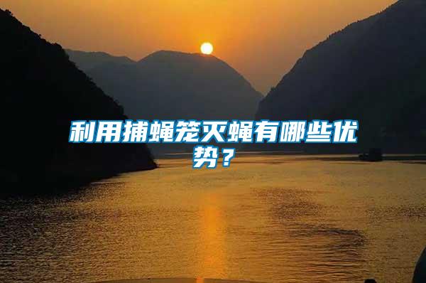 利用捕蠅籠滅蠅有哪些優(yōu)勢？