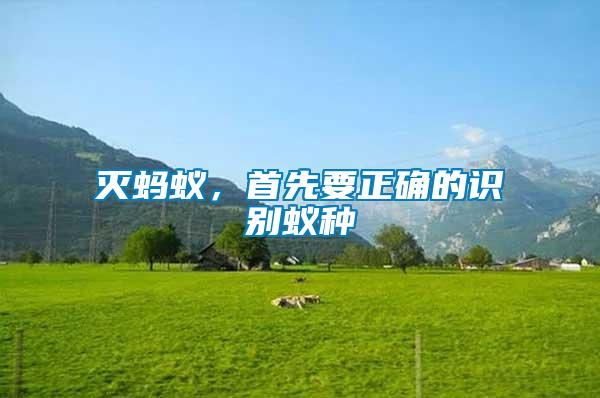 滅螞蟻，首先要正確的識別蟻種