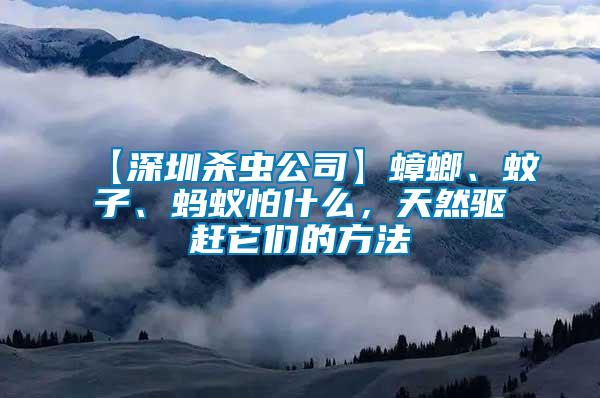 【深圳殺蟲公司】蟑螂、蚊子、螞蟻怕什么，天然驅趕它們的方法