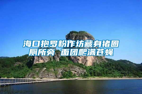 海口抱羅粉作坊藏身豬圈廁所旁 面團爬滿蒼蠅