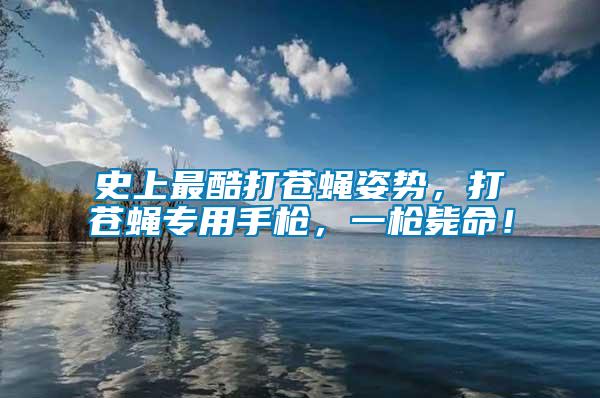 史上最酷打蒼蠅姿勢，打蒼蠅專用手槍，一槍斃命！