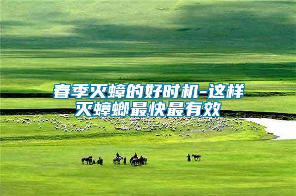 春季滅蟑的好時機-這樣滅蟑螂最快最有效