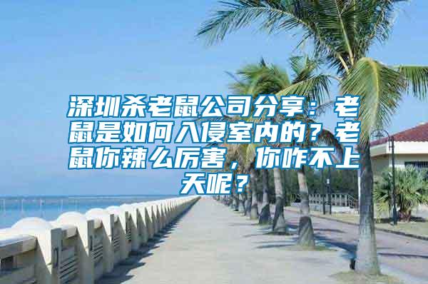 深圳殺老鼠公司分享：老鼠是如何入侵室內的？老鼠你辣么厲害，你咋不上天呢？