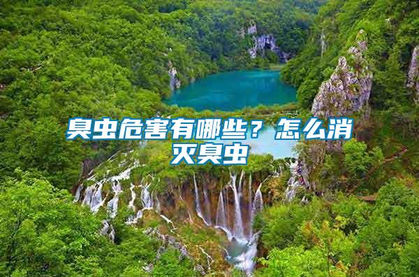 臭蟲危害有哪些？怎么消滅臭蟲