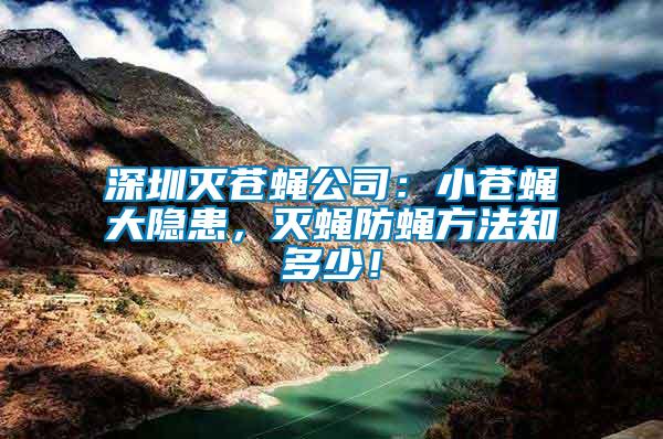 深圳滅蒼蠅公司：小蒼蠅大隱患，滅蠅防蠅方法知多少！