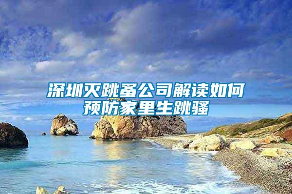 深圳滅跳蚤公司解讀如何預防家里生跳騷