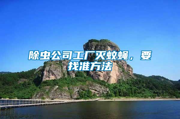 除蟲公司工廠滅蚊蠅，要找準方法
