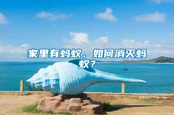 家里有螞蟻，如何消滅螞蟻？