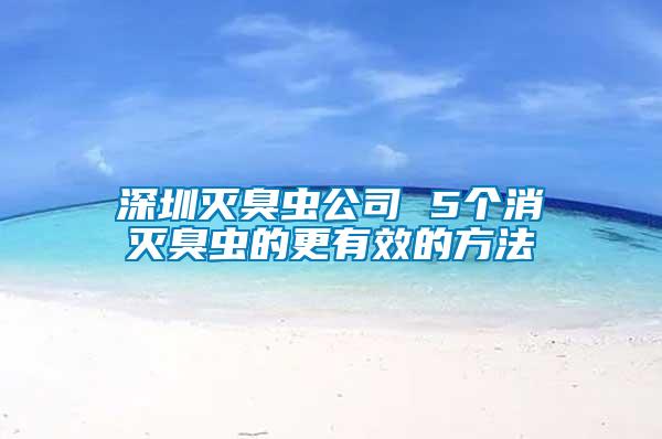 深圳滅臭蟲公司 5個消滅臭蟲的更有效的方法
