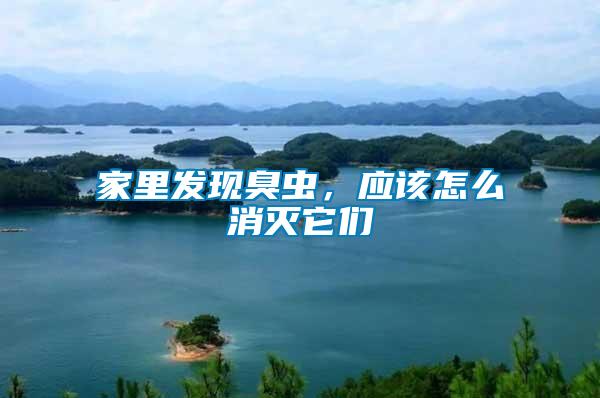 家里發現臭蟲，應該怎么消滅它們