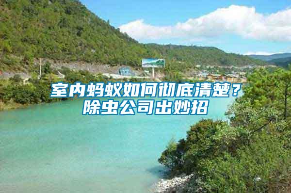 室內螞蟻如何徹底清楚？除蟲公司出妙招