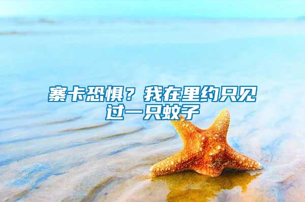 寨卡恐懼？我在里約只見過一只蚊子
