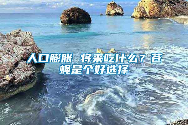 人口膨脹 將來吃什么？蒼蠅是個好選擇