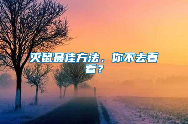 滅鼠最佳方法，你不去看看？