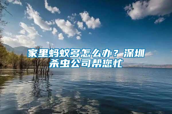 家里螞蟻多怎么辦？深圳殺蟲公司幫您忙