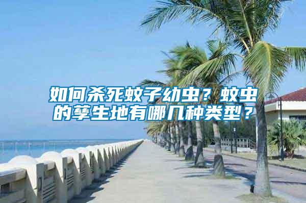 如何殺死蚊子幼蟲？蚊蟲的孳生地有哪幾種類型？