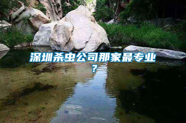 深圳殺蟲公司那家最專業？