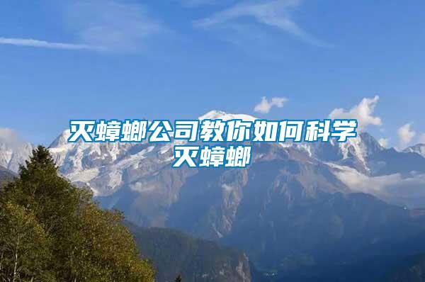 滅蟑螂公司教你如何科學滅蟑螂