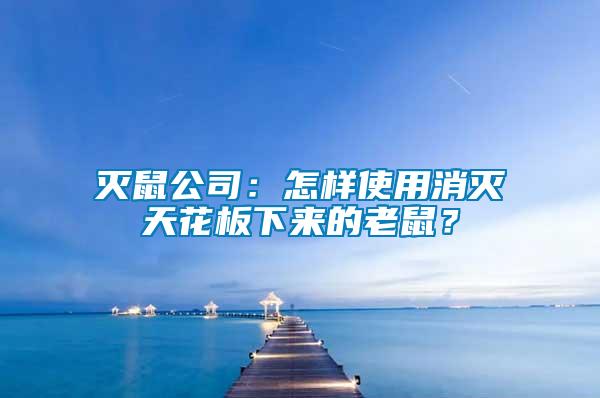 滅鼠公司：怎樣使用消滅天花板下來(lái)的老鼠？