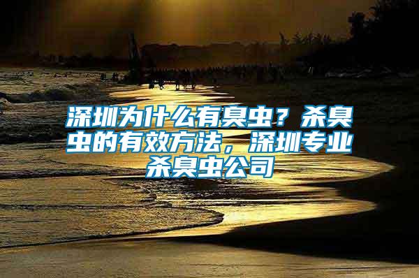 深圳為什么有臭蟲？殺臭蟲的有效方法，深圳專業殺臭蟲公司