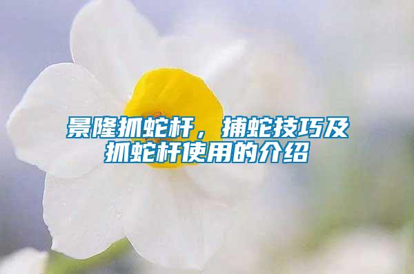 景隆抓蛇桿，捕蛇技巧及抓蛇桿使用的介紹