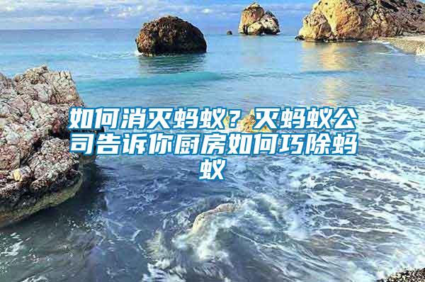 如何消滅螞蟻？滅螞蟻公司告訴你廚房如何巧除螞蟻