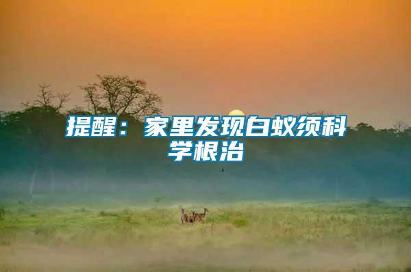 提醒：家里發現白蟻須科學根治