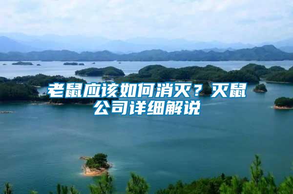老鼠應該如何消滅？滅鼠公司詳細解說