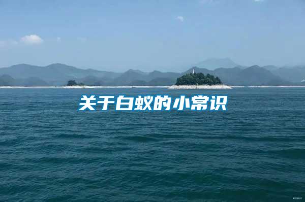 關于白蟻的小常識
