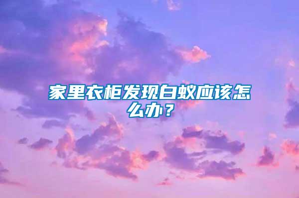 家里衣柜發(fā)現(xiàn)白蟻應該怎么辦？
