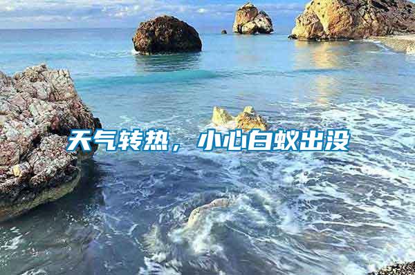 天氣轉熱，小心白蟻出沒