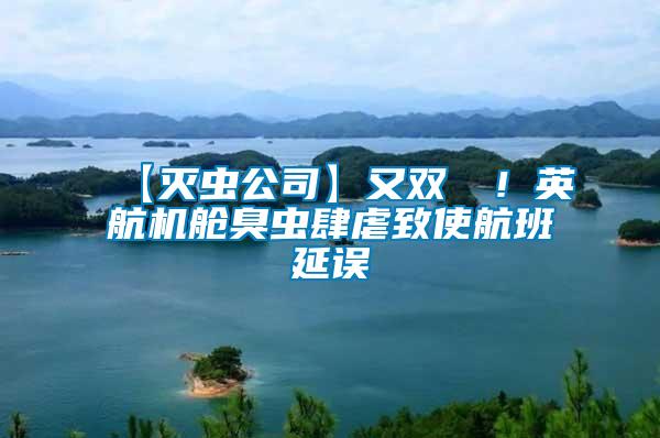 【滅蟲公司】又雙叒叕！英航機艙臭蟲肆虐致使航班延誤